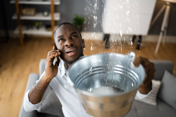 Best Flooded house restoration  in Miami Shores, FL