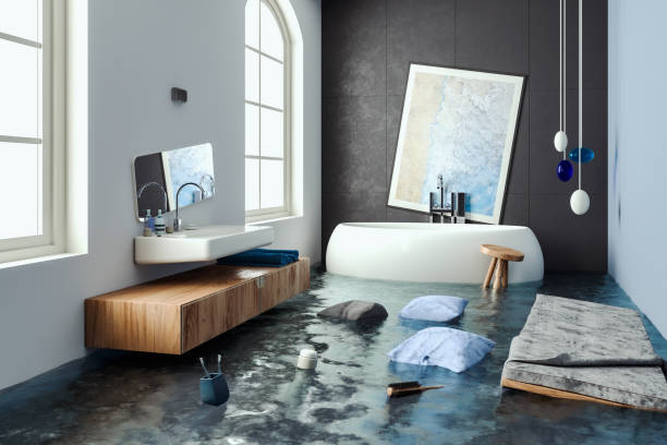 Best Mold removal after water damage  in Miami Shores, FL