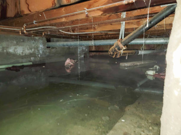 Sewage cleanup and water damage restoration in Miami Shores, FL