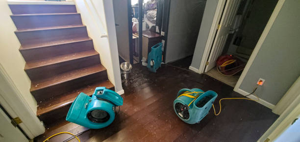 Miami Shores, FL Water damage restoration Company