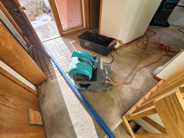 Best Water damage restoration near me  in Miami Shores, FL