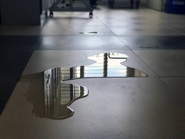 Best Commercial water damage restoration  in Miami Shores, FL
