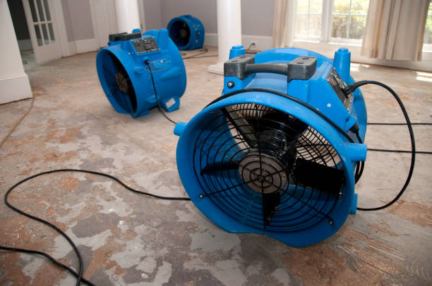 Best 24-hour water damage restoration  in Miami Shores, FL