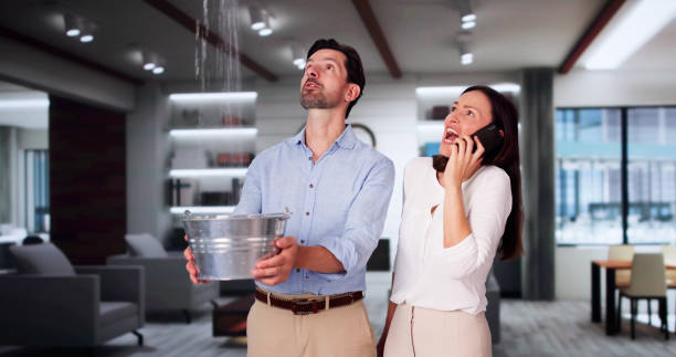 Best Residential water damage restoration  in Miami Shores, FL