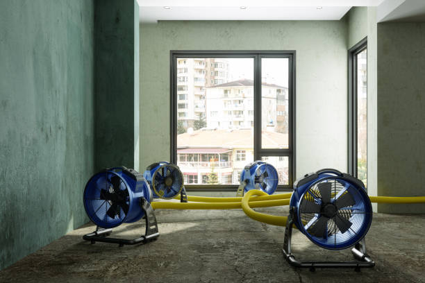 24/7 water damage repair in Miami Shores, FL