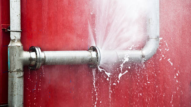 Best Local water damage restoration  in Miami Shores, FL