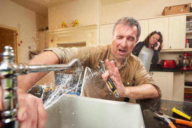 Best Water damage cleanup near me  in Miami Shores, FL